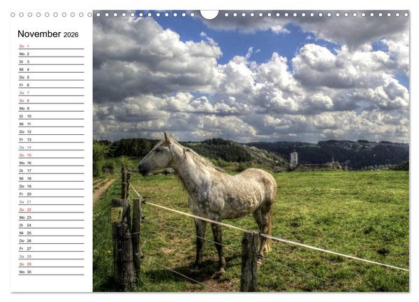Produktbild: Faszination Eifel (Wandkalender 2026 DIN A3 quer), CALVENDO Monatskalender