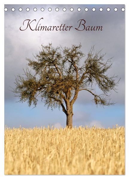 Produktbild: Klimaretter Baum (Tischkalender 2026 DIN A5 hoch), CALVENDO Monatskalender