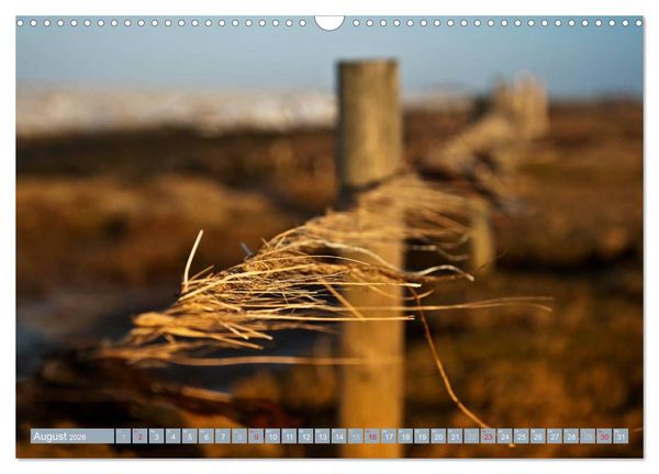 Produktbild: Die Hallig Langene&szlig; (Wandkalender 2026 DIN A3 quer), CALVENDO Monatskalender