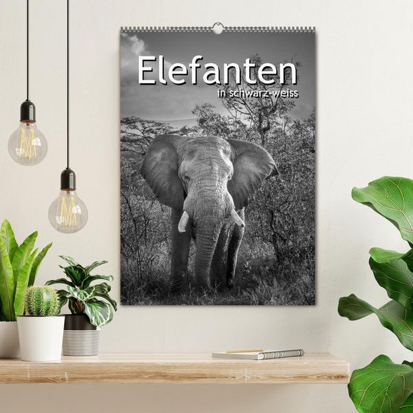 Produktbild: Elefanten in schwarz-weiss (Wandkalender 2026 DIN A2 hoch), CALVENDO Monatskalender