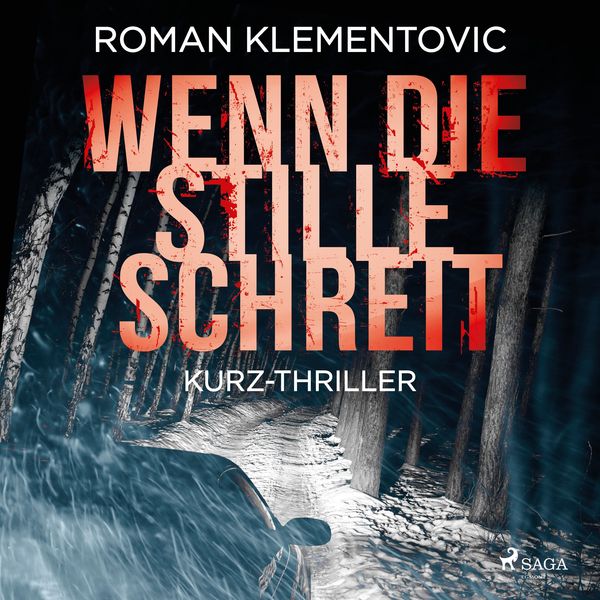 Produktbild: Wenn die Stille schreit
