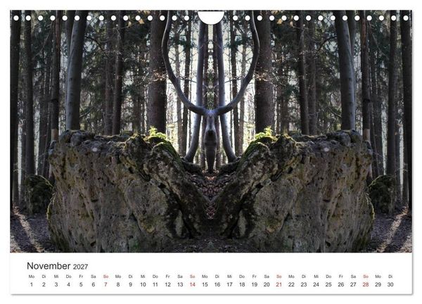 Produktbild: Spiegelwelten - Natur anders sehen (Wandkalender 2027 DIN A4 quer), CALVENDO Monatskalender