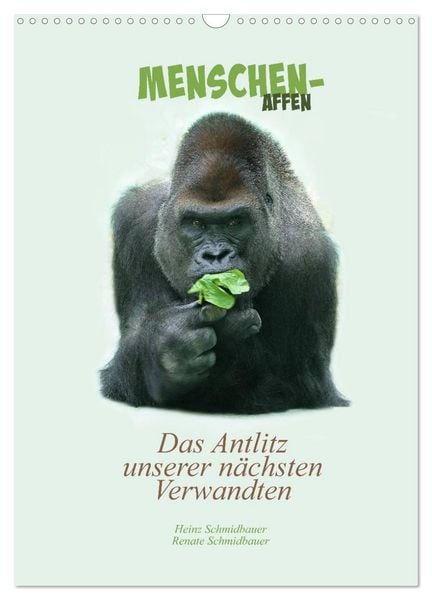 Produktbild: Menschenaffen - Das Antlitz unserer n&auml;chsten Verwandten (Wandkalender 2026 DIN A3 hoch), CALVENDO Monatskalender