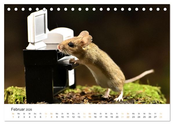 Produktbild: Geheimes Waldleben (Tischkalender 2026 DIN A5 quer), CALVENDO Monatskalender