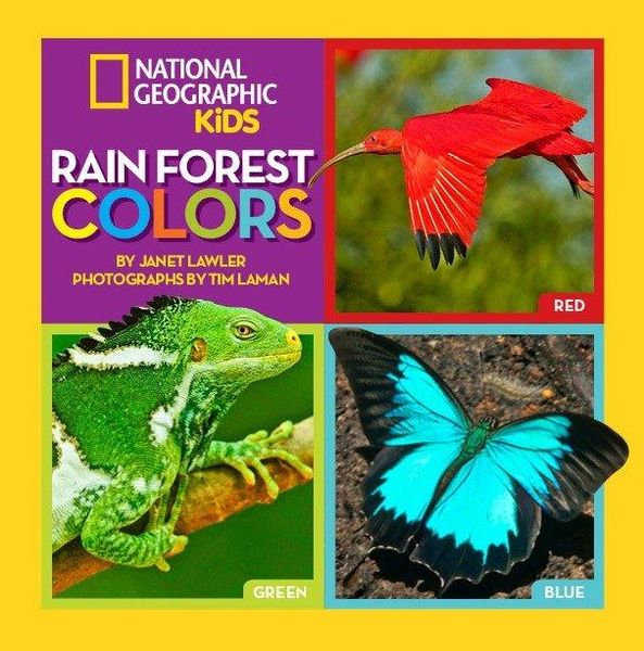 Produktbild: Rain Forest Colors
