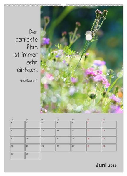 Produktbild: Motivationshilfe (Wandkalender 2026 DIN A2 hoch), CALVENDO Monatskalender