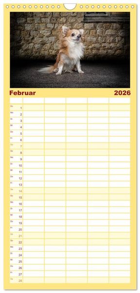 Produktbild: Familienplaner 2026 - Chihuahuas - Cool and Cute mit 5 Spalten (Wandkalender, 21 x 45 cm) CALVENDO