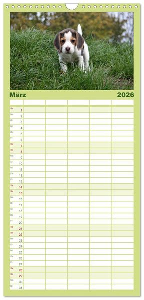 Produktbild: Familienplaner 2026 - DER BEAGLEige TERMINPLANER mit 5 Spalten (Wandkalender, 21 x 45 cm) CALVENDO