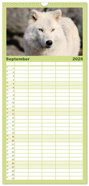 Produktbild: Familienplaner 2026 - W&ouml;lfe. Verwegene Anmut mit 5 Spalten (Wandkalender, 21 x 45 cm) CALVENDO