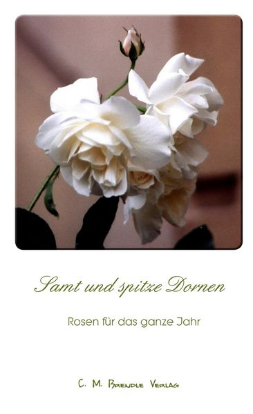 Produktbild: Samt und spitze Dornen