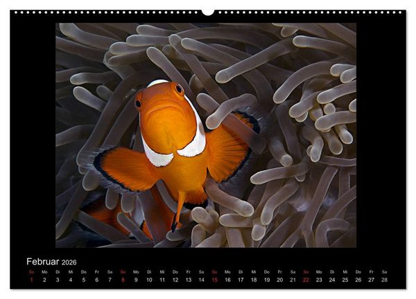 Produktbild: OCEAN - ART (Wandkalender 2026 DIN A2 quer), CALVENDO Monatskalender