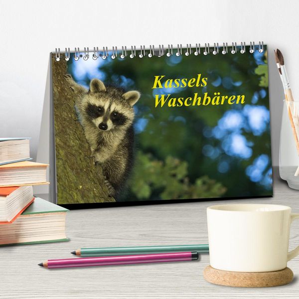 Produktbild: Kassels Waschb&auml;ren (Tischkalender 2026 DIN A5 quer), CALVENDO Monatskalender