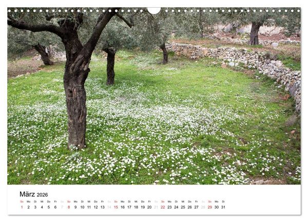 Produktbild: Al&oacute;nnisos, Ski&aacute;thos, Sk&oacute;pelos (Wandkalender 2026 DIN A3 quer), CALVENDO Monatskalender