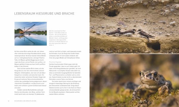 Produktbild: Verborgene Wildnis Bayern