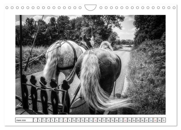 Produktbild: Sur la route avec le Cirque Bidon (Calendrier mural 2026 DIN A4 vertical), CALVENDO calendrier mensuel