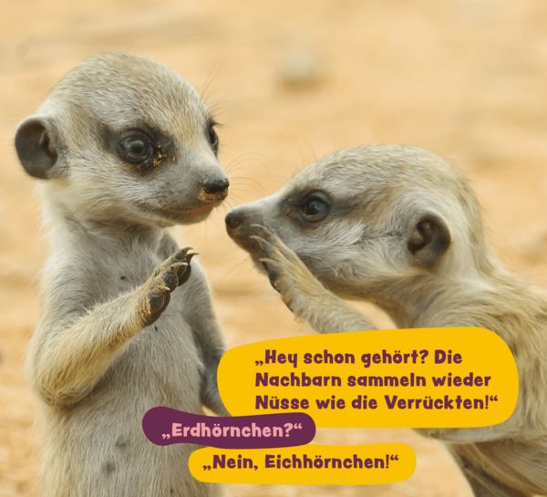 Produktbild: Tierisch gechillt!