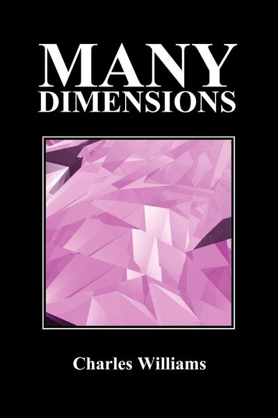 Produktbild: Many Dimensions (Paperback, New Ed.)