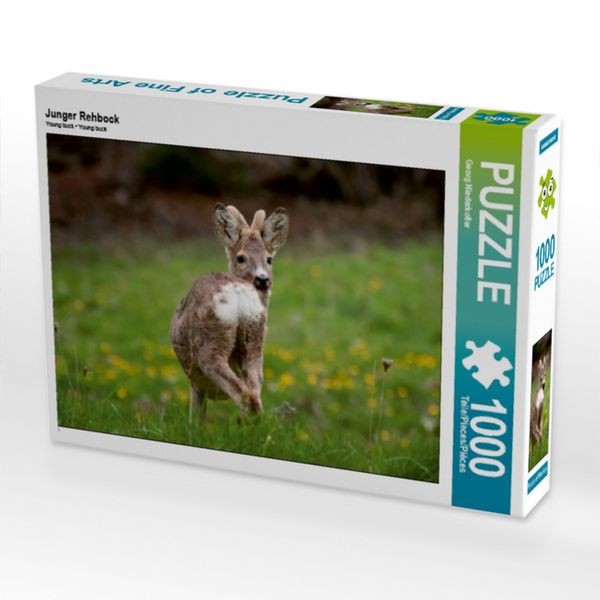 CALVENDO Puzzle Junger Rehbock | 1000 Teile Lege-Größe 64x48cm Foto-Puzzle für glückliche Stunden