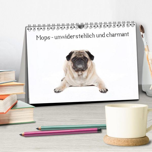 Produktbild: Mops - unwiderstehlich und charmant (Tischkalender 2026 DIN A5 quer), CALVENDO Monatskalender
