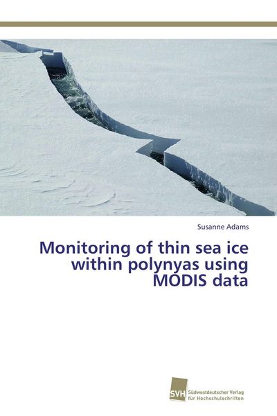 Produktbild: Monitoring of thin sea ice within polynyas using MODIS data