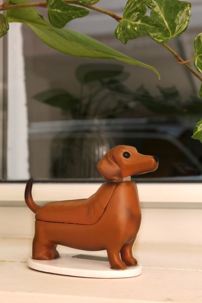 Solar Dashund - Boudewijn