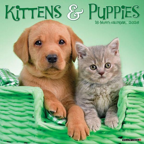 Produktbild: Kittens & Puppies 2026 Wall Calendar