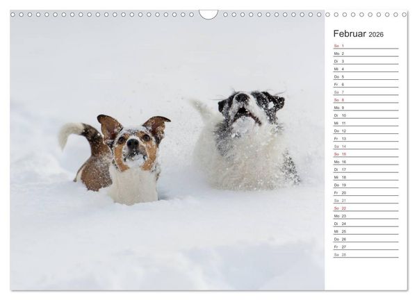 Produktbild: Emotionale Momente: Wild und Jagd. (Wandkalender 2026 DIN A3 quer), CALVENDO Monatskalender