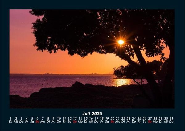 Produktbild: B&auml;ume 2025 Fotokalender DIN A4