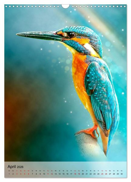 Produktbild: Schillernder Eisvogel (Wandkalender 2026 DIN A3 hoch), CALVENDO Monatskalender