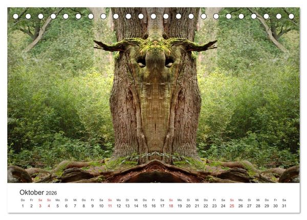 Produktbild: Spiegelwelten - Natur anders sehen (Tischkalender 2026 DIN A5 quer), CALVENDO Monatskalender