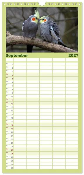 Produktbild: Familienplaner 2027 - Nymphensittiche mit 5 Spalten (Wandkalender, 21 x 45 cm) CALVENDO