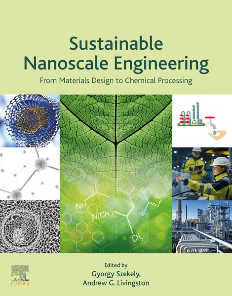 Produktbild: Sustainable Nanoscale Engineering