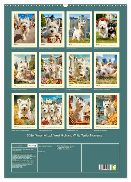 Produktbild: S&uuml;&szlig;er Wuschelkopf. West Highland White Terrier Momente (Wandkalender 2027 DIN A2 hoch), CALVENDO Monatskalender