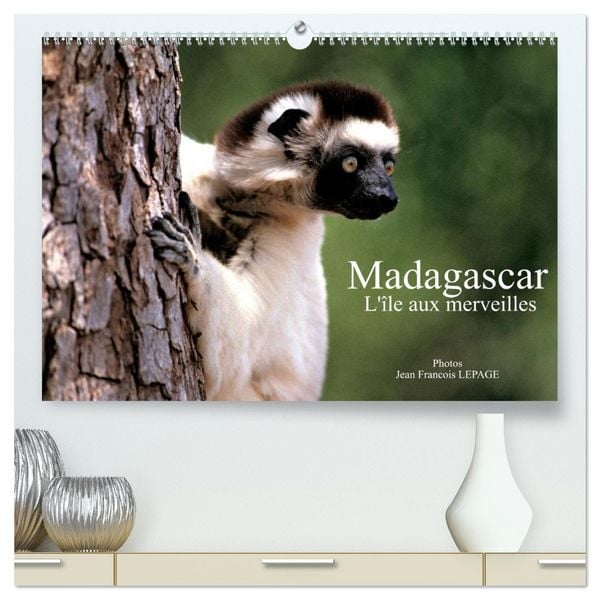 Produktbild: Madagascar L'&icirc;le aux merveilles (Calendrier mural 2026 DIN A2 vertical) calendrier de bureau