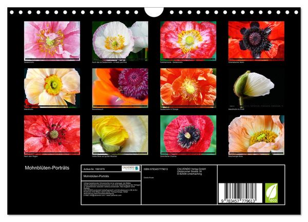 Produktbild: Mohnbl&uuml;ten-Portr&auml;ts (Wandkalender 2026 DIN A4 quer), CALVENDO Monatskalender