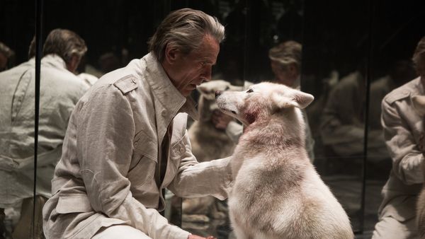 Produktbild: High-Rise