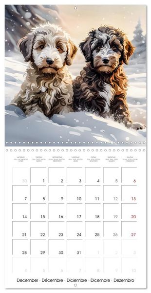 Produktbild: Aussiedoodle - Dogs to love (Wall Calendar 2026 12 &times; 12 Inch) CALVENDO 12 Month Wall Calendar