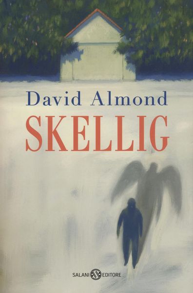 Produktbild: Skellig