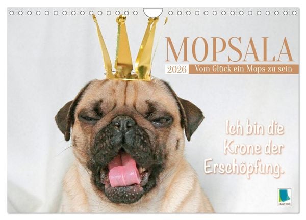 Mopsala: Vom Glück, ein Mops zu sein (Wandkalender 2026 DIN A4 quer), CALVENDO Monatskalender