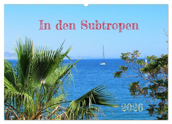 Produktbild: In den Subtropen (Wandkalender 2026 DIN A2 quer), CALVENDO Monatskalender