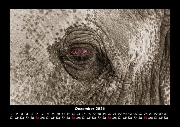 Produktbild: Elefanten - Die sanften Riesen Afrikas 2026 Fotokalender DIN A3