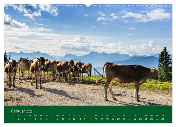 Produktbild: Allg&auml;u - Landliches Leben (Wandkalender 2026 DIN A2 quer), CALVENDO Monatskalender
