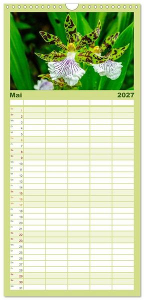 Produktbild: Familienplaner 2027 - Wunderbare Orchideen mit 5 Spalten (Wandkalender, 21 x 45 cm) CALVENDO