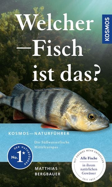 Produktbild: Welcher Fisch ist das?