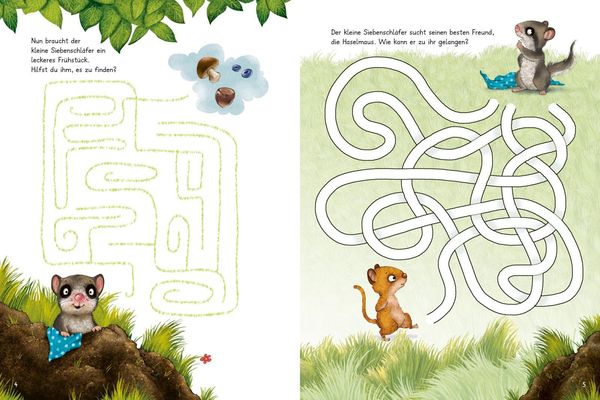 Produktbild: Der kleine Siebenschl&auml;fer: Zeig mir den Weg durchs Labyrinth!