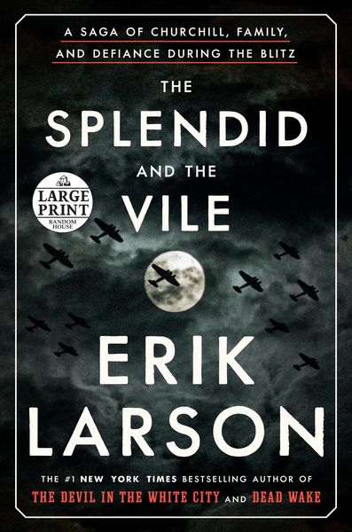 Produktbild: The Splendid and the Vile