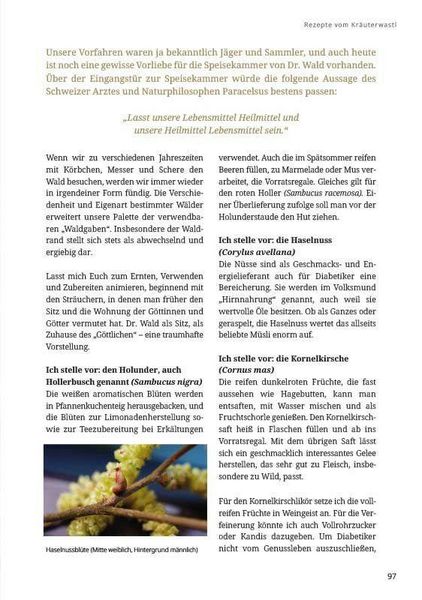 Produktbild: Dr. Wald und sein Holzknecht