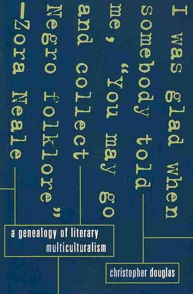 Produktbild: A Genealogy of Literary Multiculturalism