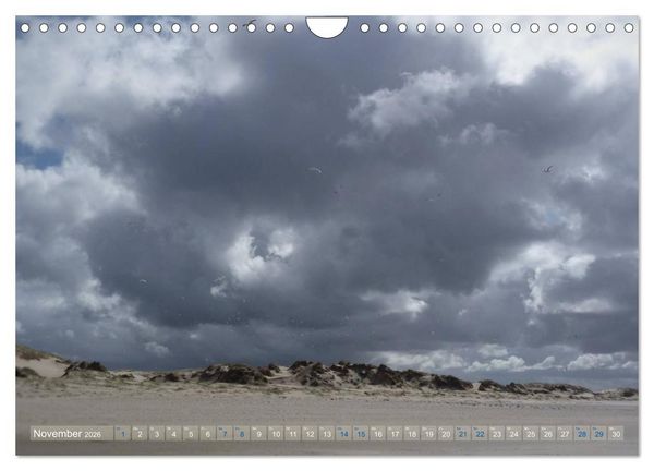 Produktbild: Texel. Neue D&uuml;nen (Wandkalender 2026 DIN A4 quer), CALVENDO Monatskalender