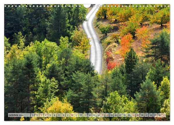Produktbild: Au c&oelig;ur de la for&ecirc;t (Calendrier mural 2026 DIN A3 vertical), CALVENDO calendrier mensuel